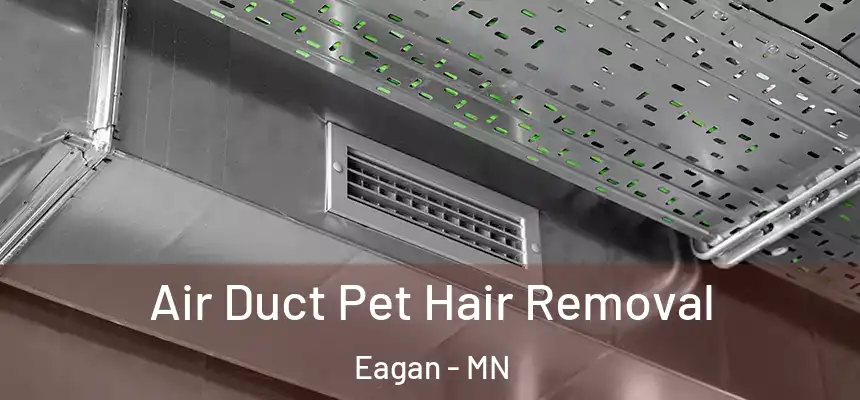 Air Duct Pet Hair Removal Eagan - MN
