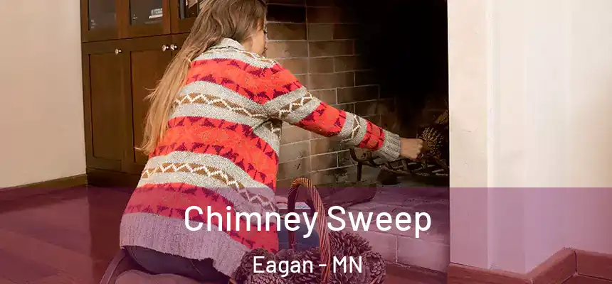 Chimney Sweep Eagan - MN