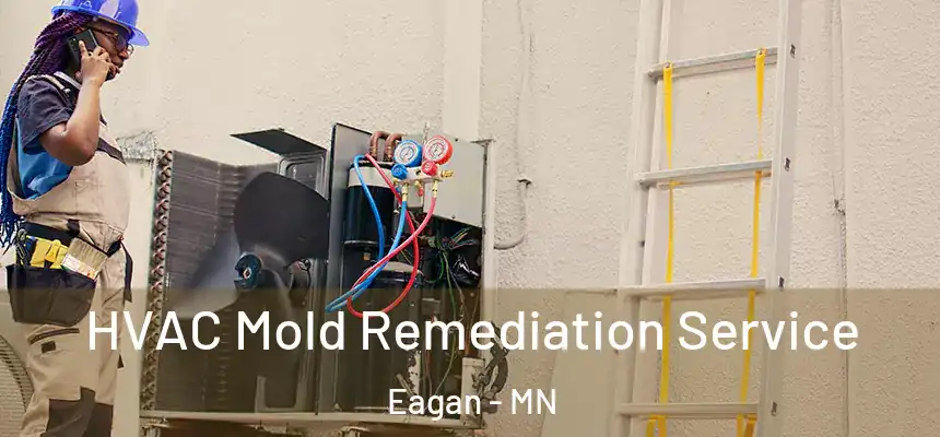 HVAC Mold Remediation Service Eagan - MN