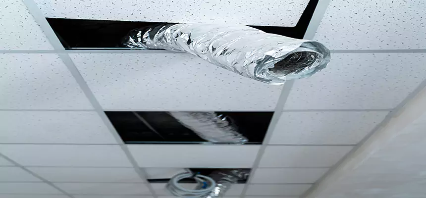 Our Air Duct Pet Hair Removal Services in Eagan, MN