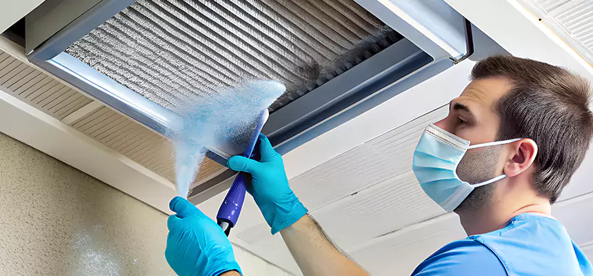 Proactive Dryer Vent & Auxiliary Duct Pollen Cleanup in Eagan, MN