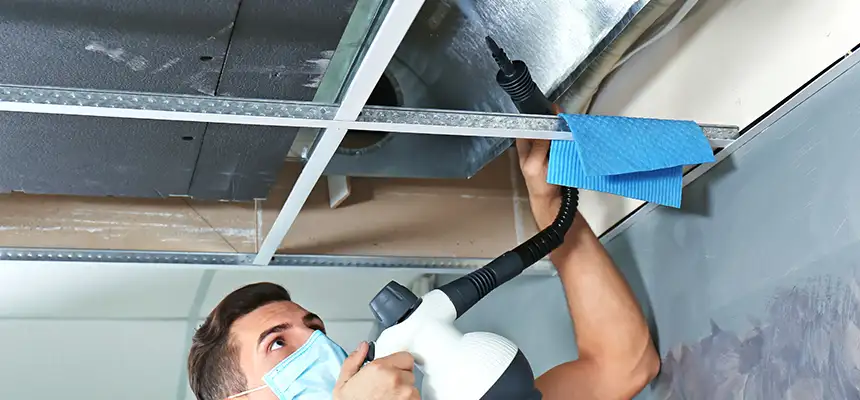 Our Air Duct Rodent Removal Services in Eagan, MN