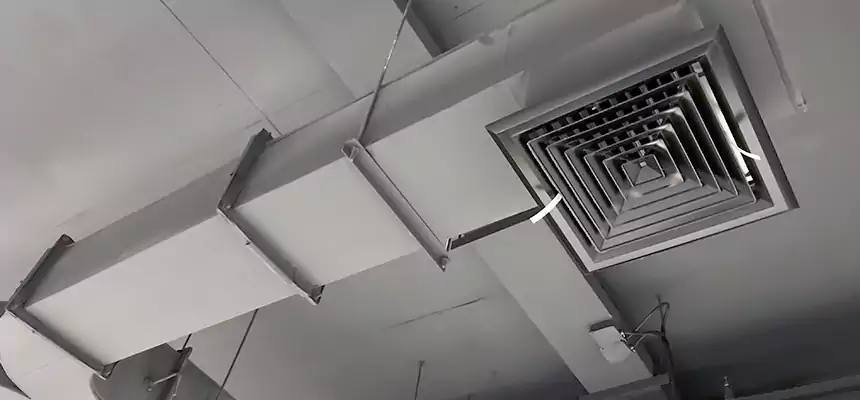 Restorative Allergy Relief Vent Cleaning – Coil, Blower & Housing Detail in Eagan