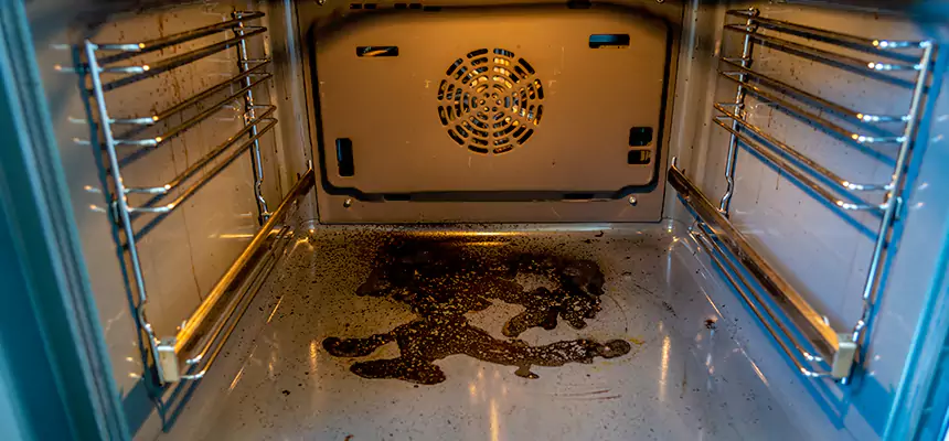 Our Dryer Vent Mold Cleaning Services in Eagan, MN