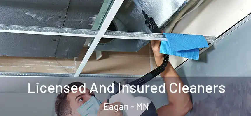 Licensed And Insured Cleaners Eagan - MN