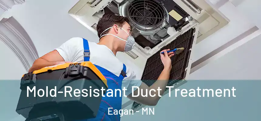 Mold-Resistant Duct Treatment Eagan - MN