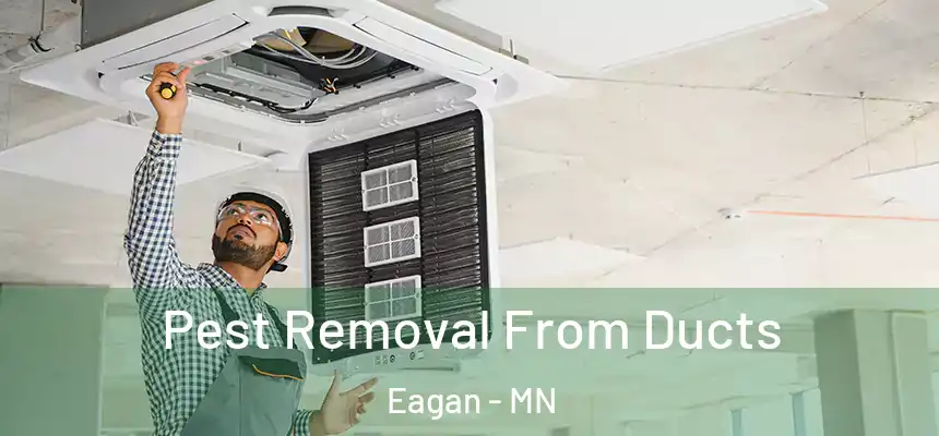 Pest Removal From Ducts Eagan - MN
