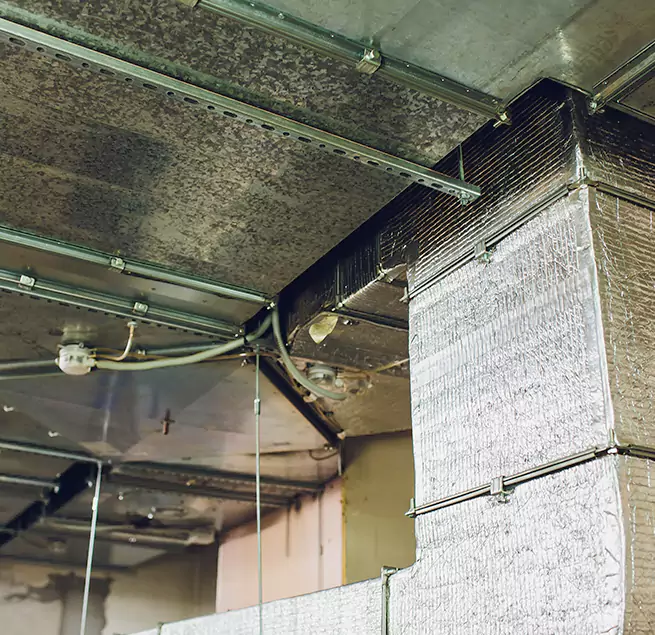 Why Homeowners & Businesses Trust Us in Eagan, MN?